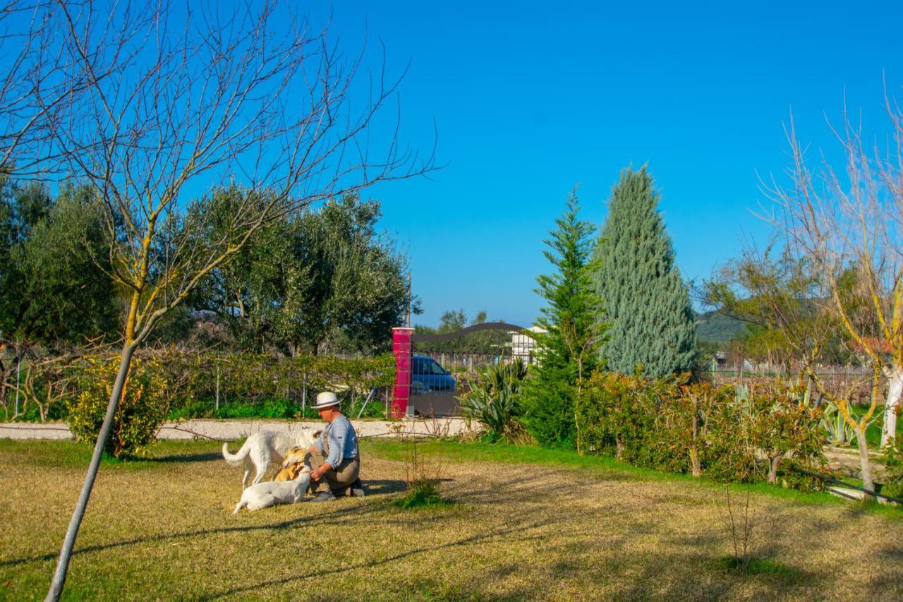 Loukas Farm House Áyios Kírikos 外观 照片