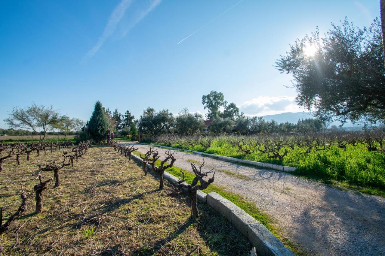 Loukas Farm House Áyios Kírikos 外观 照片