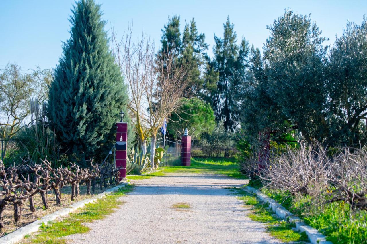 Loukas Farm House Áyios Kírikos 外观 照片