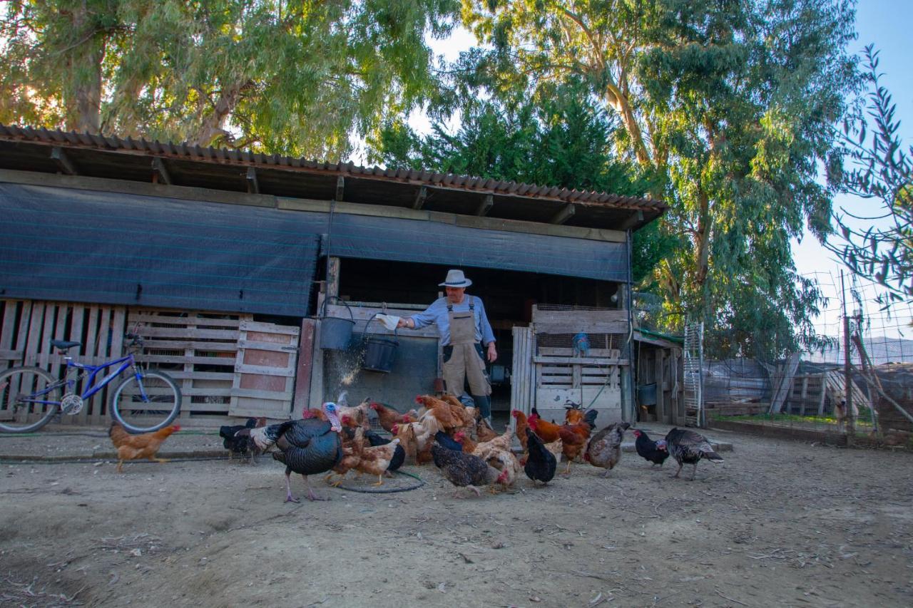Loukas Farm House Áyios Kírikos 外观 照片