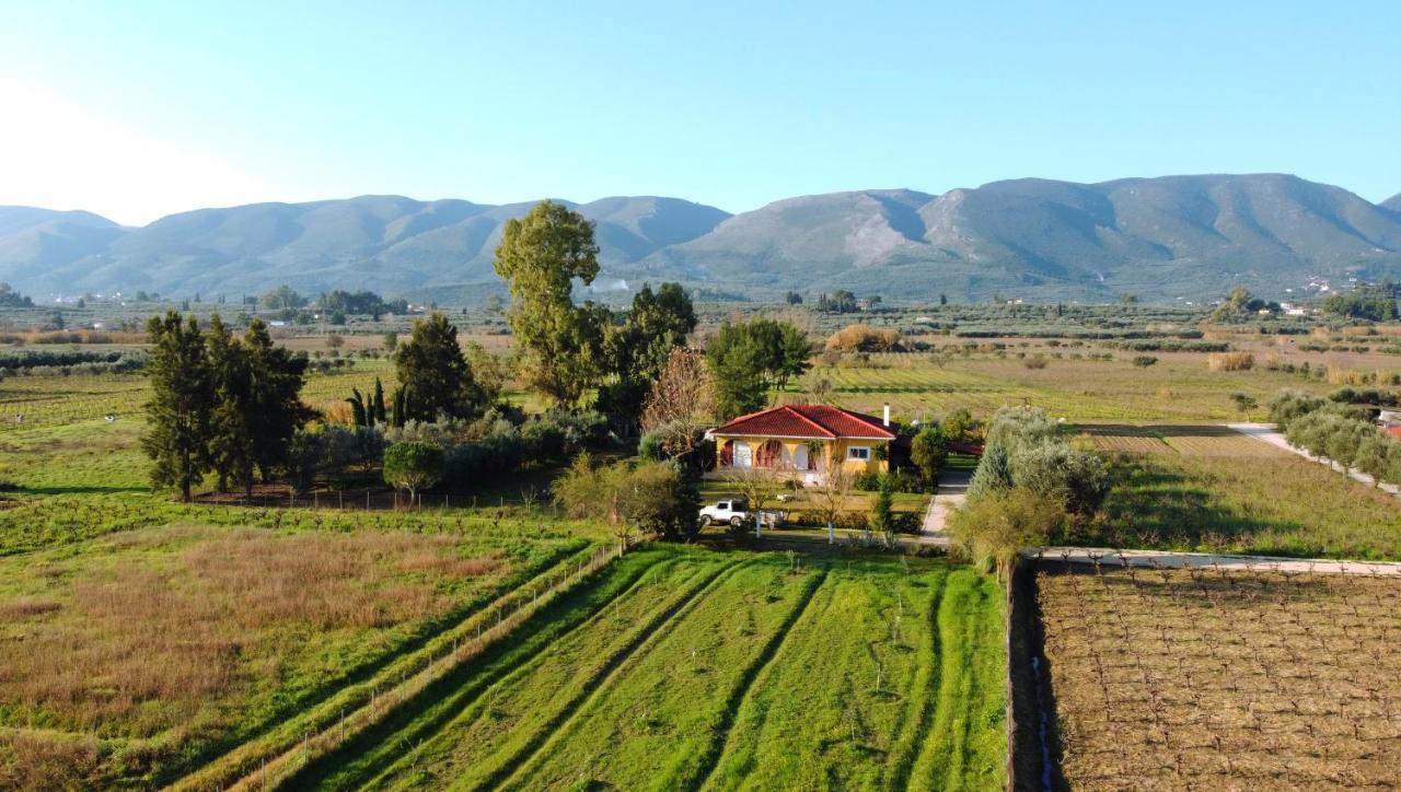 Loukas Farm House Áyios Kírikos 外观 照片