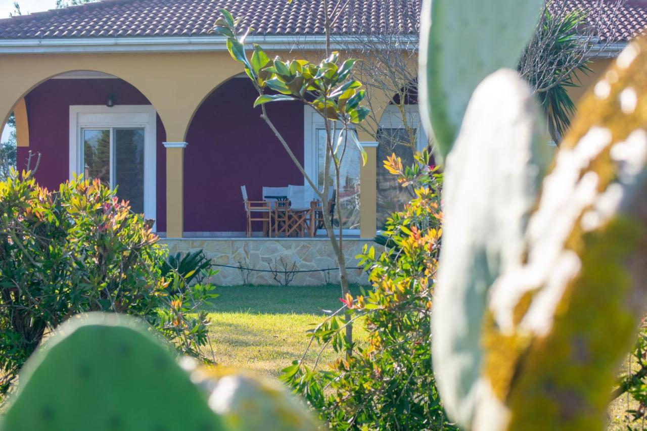 Loukas Farm House Áyios Kírikos 外观 照片
